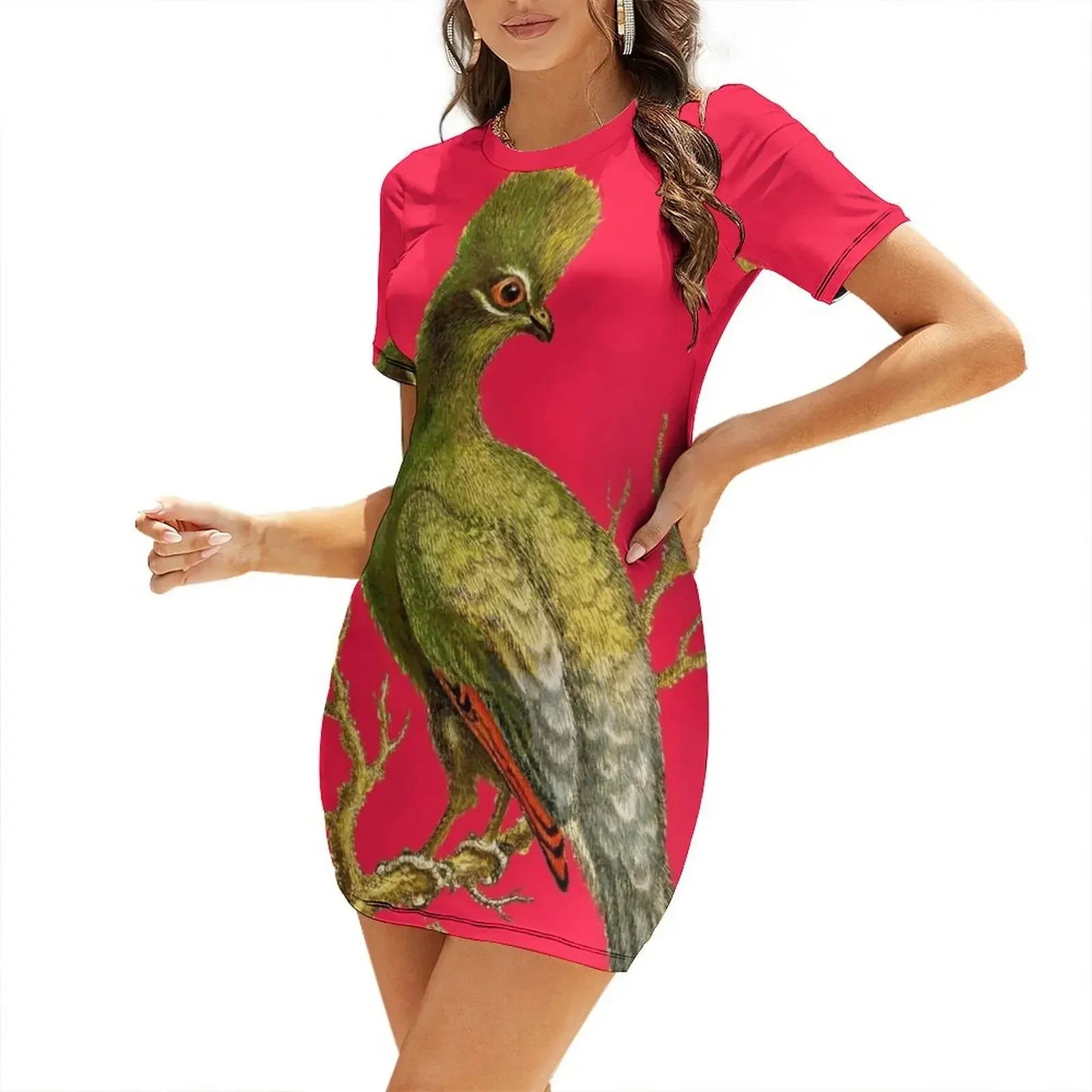 Touraco - Bird HD vintage imag – Women'S Fashion Dresses Images recenzja i cena