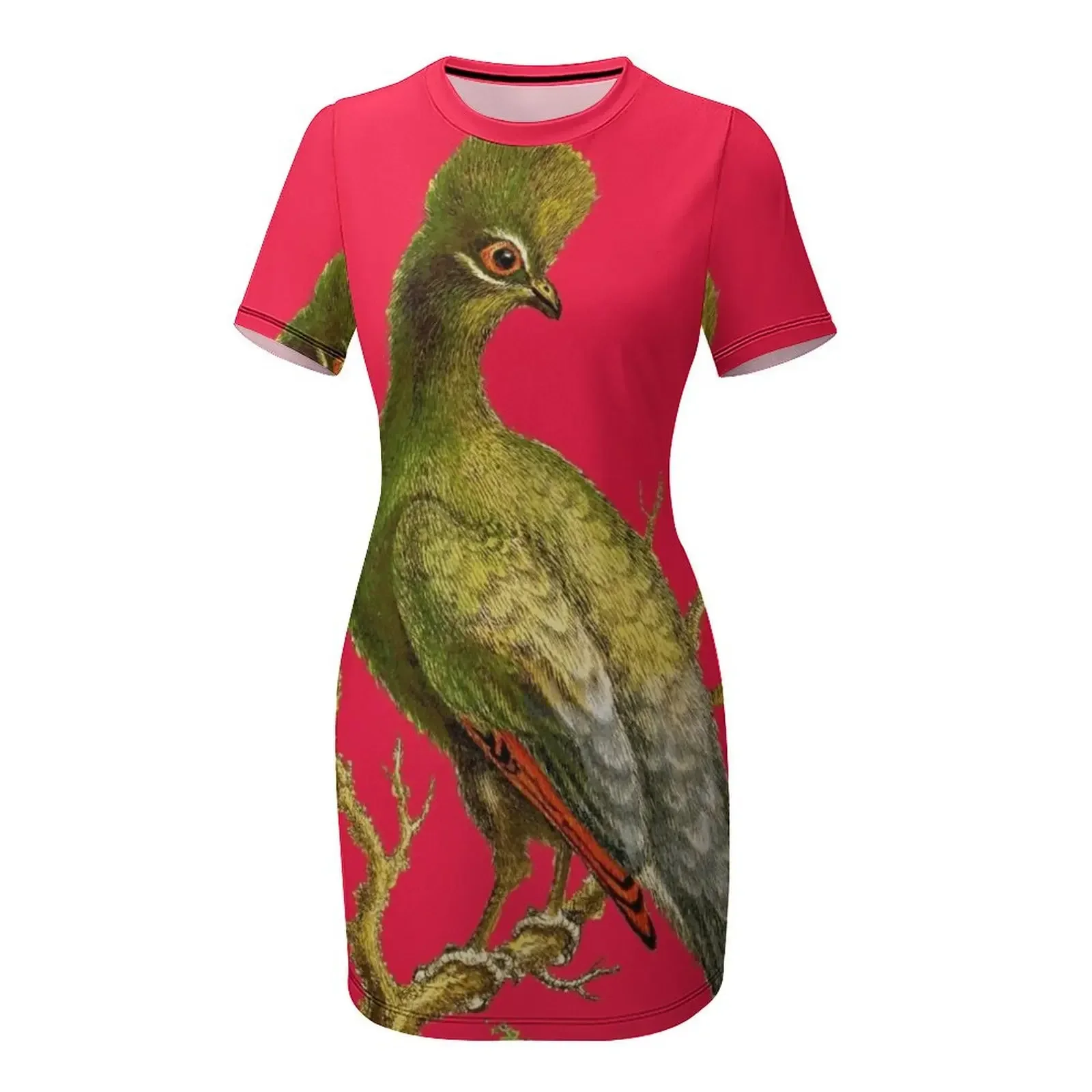 Touraco - Bird HD vintage imag – Women'S Fashion Dresses Images recenzja i cena